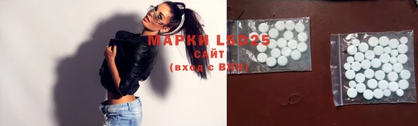 ПСИЛОЦИБИНОВЫЕ ГРИБЫ Вязьма