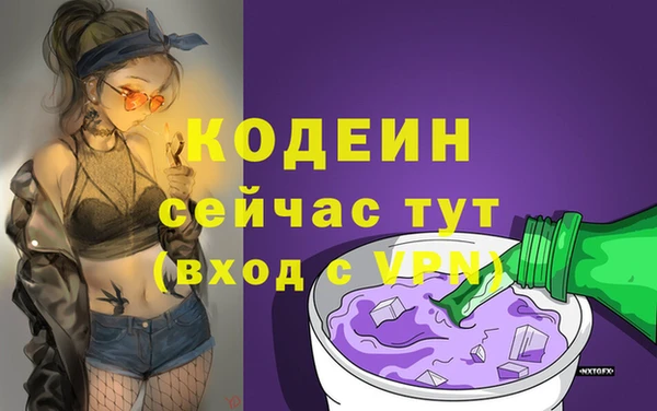 ПСИЛОЦИБИНОВЫЕ ГРИБЫ Вязьма