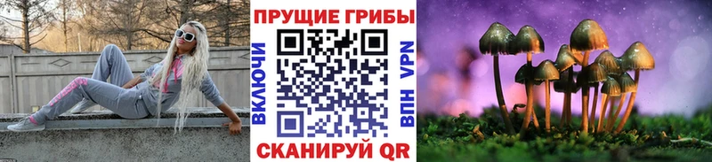 даркнет сайт  Дюртюли  Псилоцибиновые грибы мицелий 