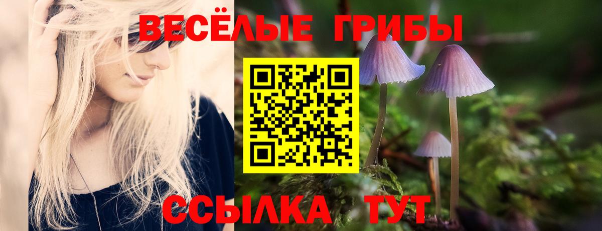 Псилоцибиновые грибы Psilocybe Дюртюли